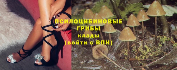 спайс Алзамай