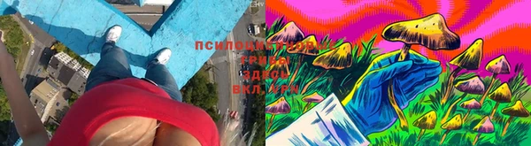 винт Алексеевка